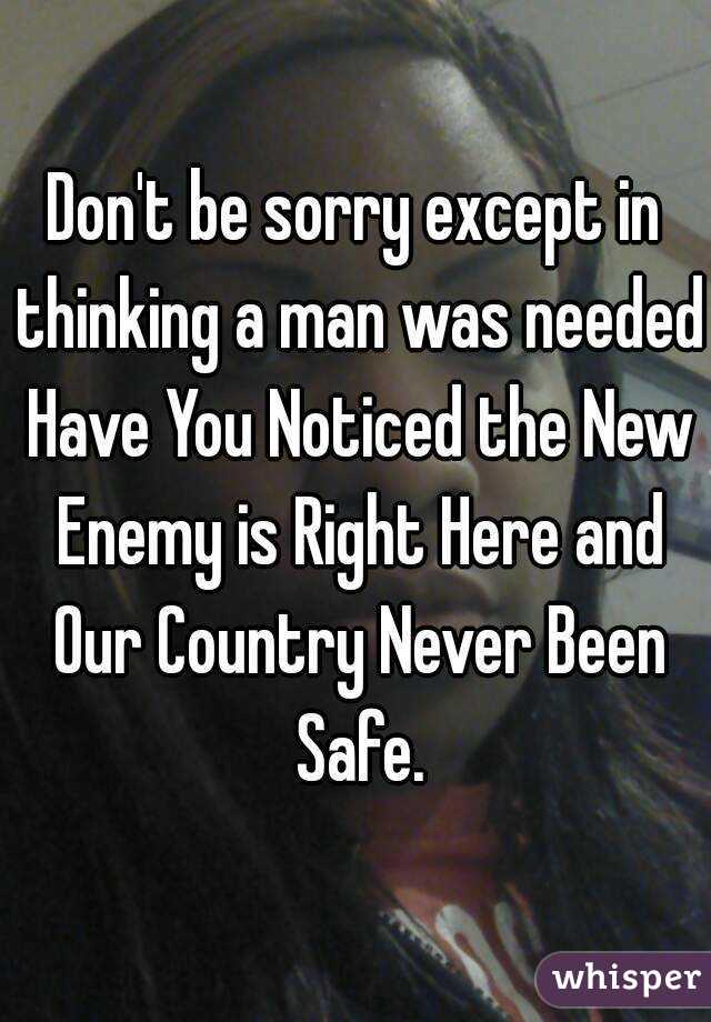 Don't be sorry except in thinking a man was needed
 Have You Noticed the New Enemy is Right Here and Our Country Never Been Safe.