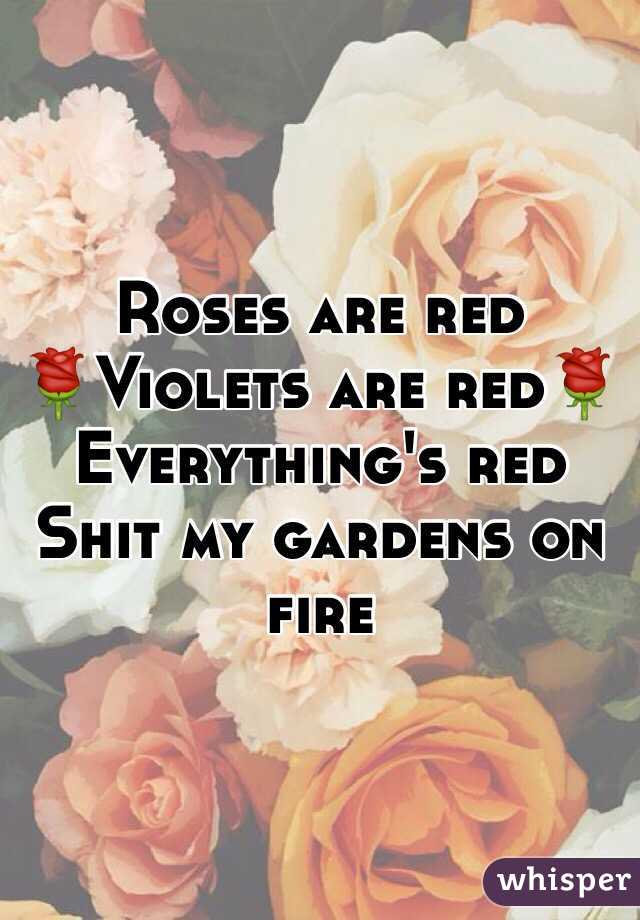Roses are red
🌹Violets are red🌹
Everything's red
Shit my gardens on fire