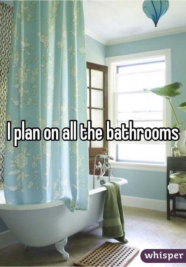 I plan on all the bathrooms 