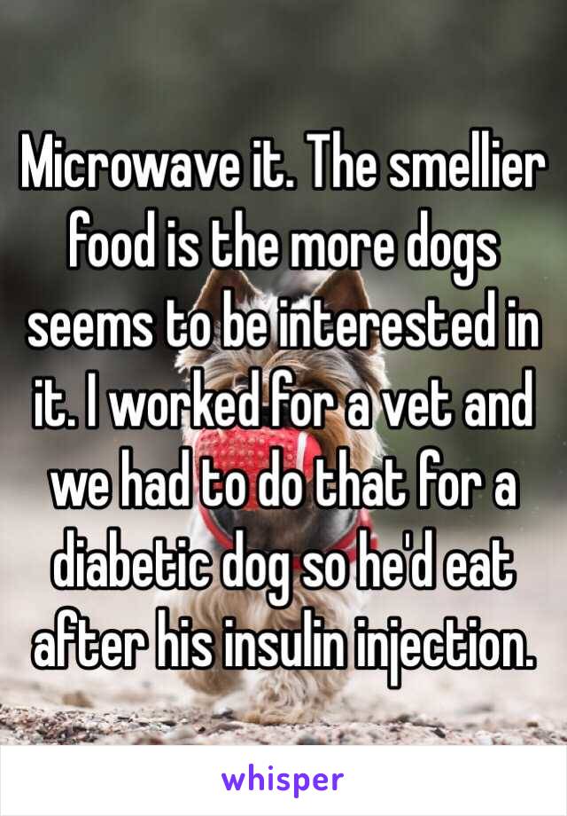 Microwave it. The smellier food is the more dogs seems to be interested in it. I worked for a vet and we had to do that for a diabetic dog so he'd eat after his insulin injection. 