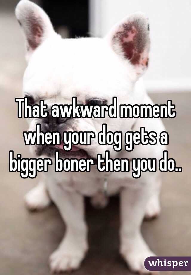That awkward moment when your dog gets a bigger boner then you do..
