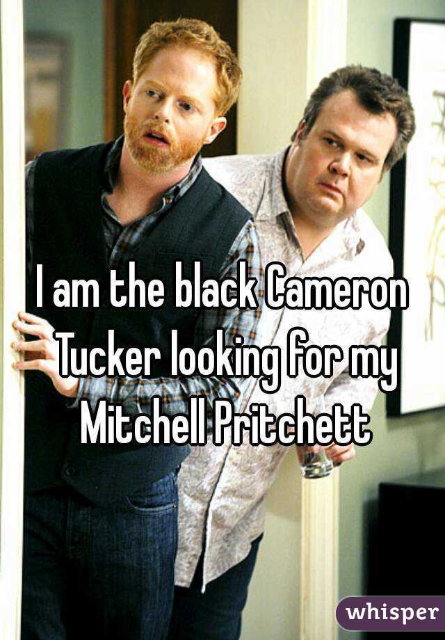 I am the black Cameron Tucker looking for my Mitchell Pritchett