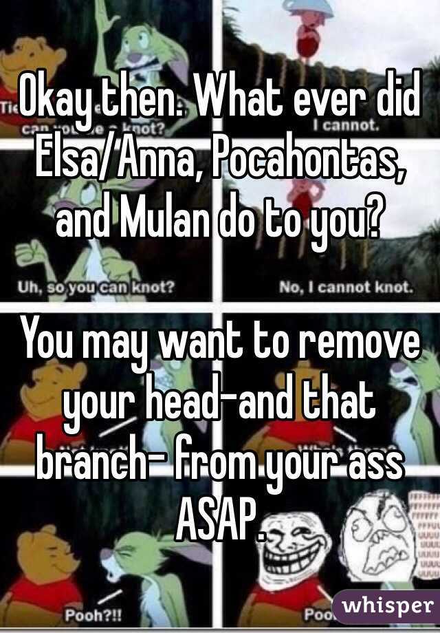 Okay then. What ever did Elsa/Anna, Pocahontas, and Mulan do to you? 

You may want to remove your head-and that branch- from your ass ASAP. 