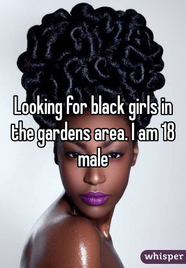 Looking for black girls in the gardens area. I am 18 male 