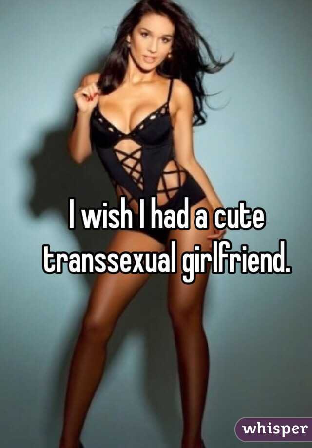 I wish I had a cute transsexual girlfriend. 