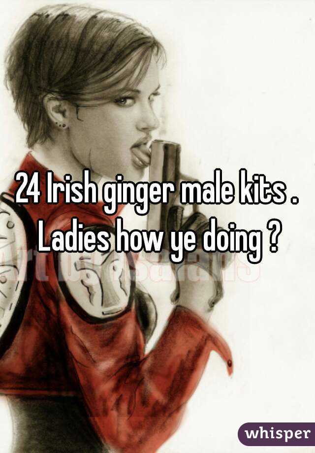 24 Irish ginger male kits . Ladies how ye doing ?
