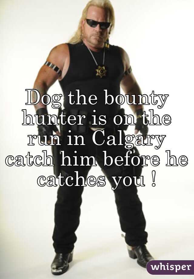 Dog the bounty hunter is on the run in Calgary catch him before he catches you ! 