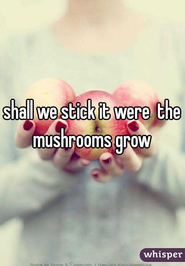 shall we stick it were  the mushrooms grow 