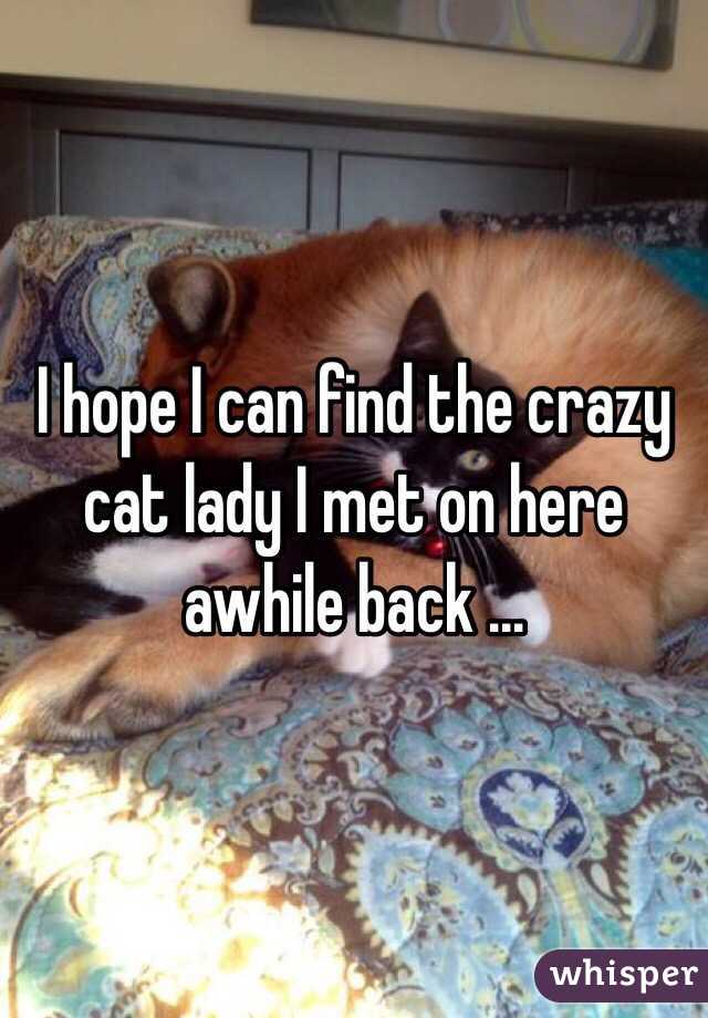 I hope I can find the crazy cat lady I met on here awhile back ... 