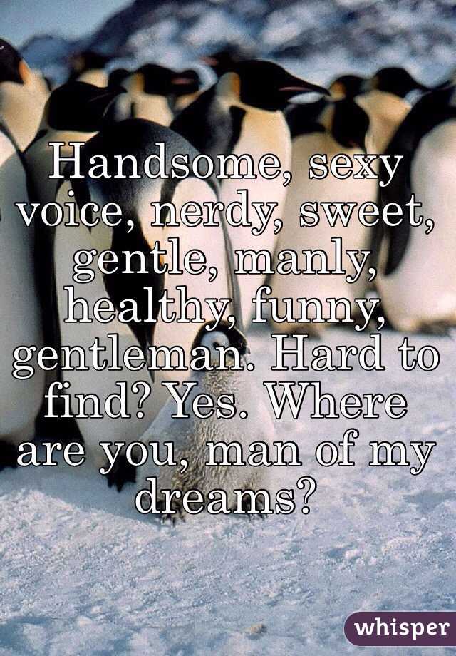 Handsome, sexy voice, nerdy, sweet, gentle, manly, healthy, funny, gentleman. Hard to find? Yes. Where are you, man of my dreams?