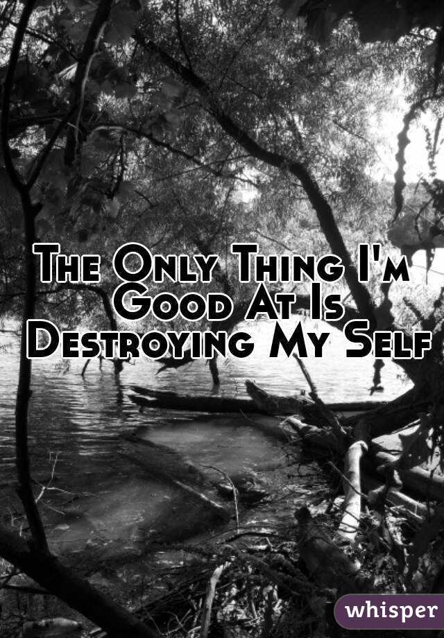 The Only Thing I'm Good At Is Destroying My Self