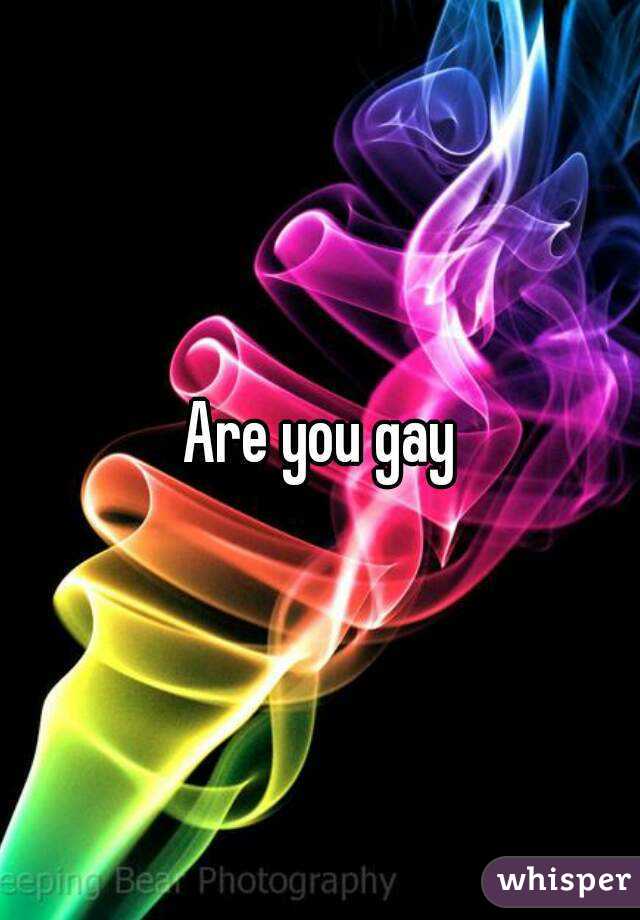 Are you gay