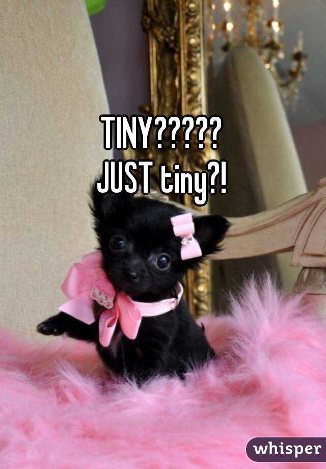 TINY?????
JUST tiny?!