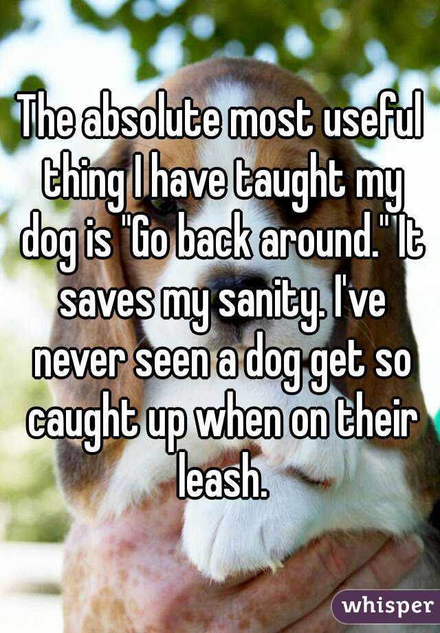 The absolute most useful thing I have taught my dog is "Go back around." It saves my sanity. I've never seen a dog get so caught up when on their leash.