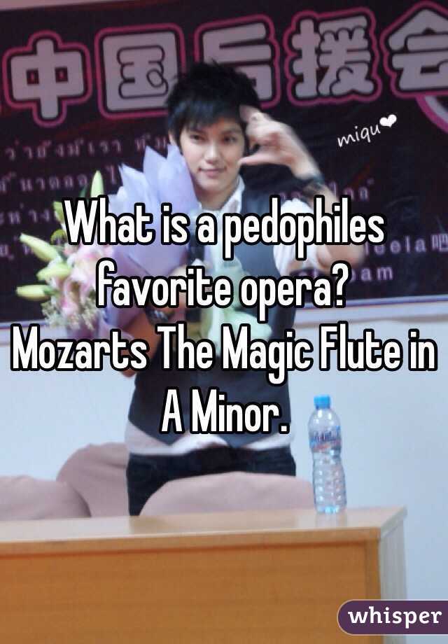 What is a pedophiles favorite opera? 
Mozarts The Magic Flute in A Minor. 