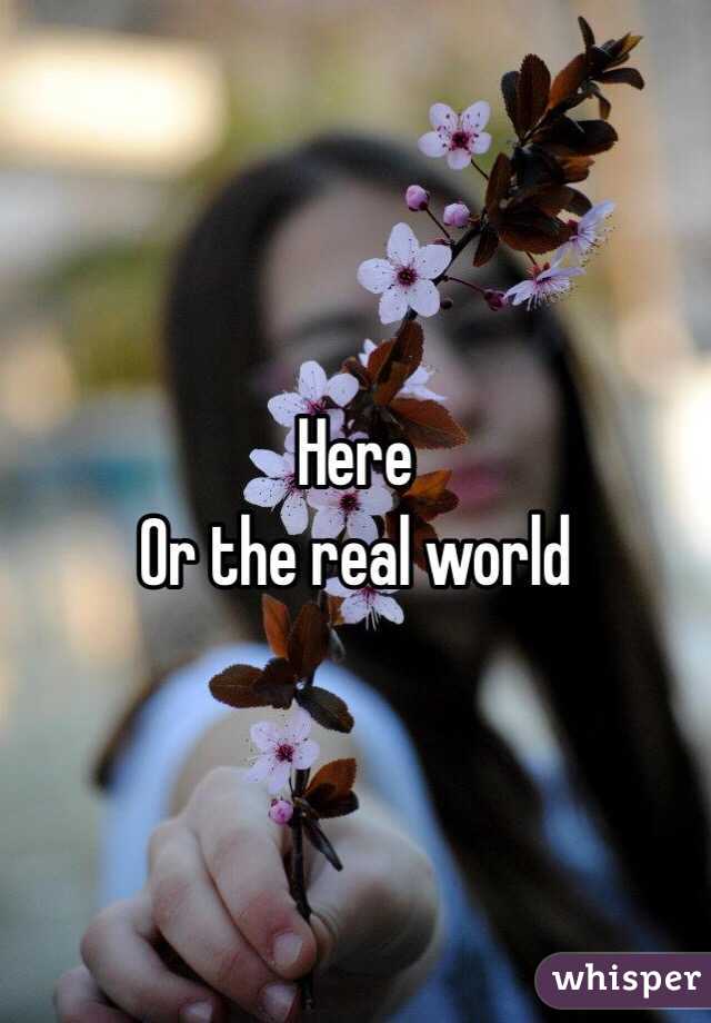 Here
Or the real world