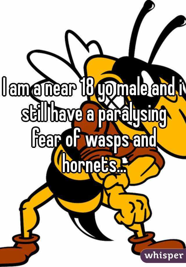 I am a near 18 yo male and i still have a paralysing fear of wasps and hornets...