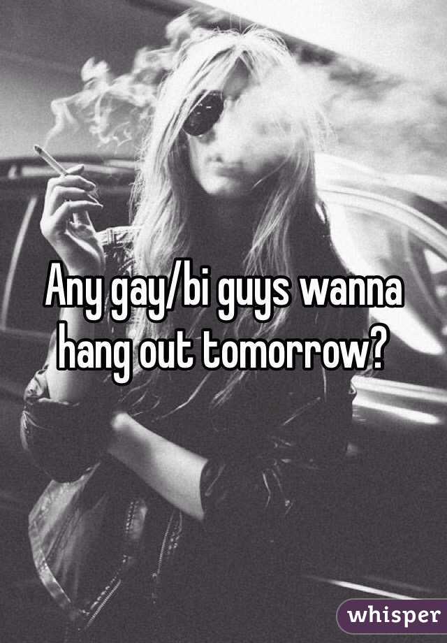 Any gay/bi guys wanna hang out tomorrow?