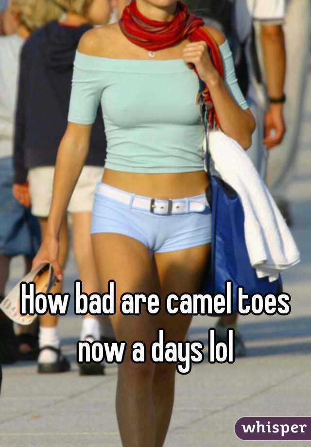 How bad are camel toes now a days lol 