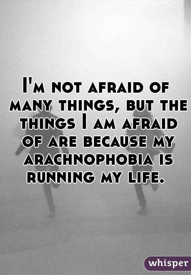 I'm not afraid of many things, but the things I am afraid of are because my arachnophobia is running my life. 