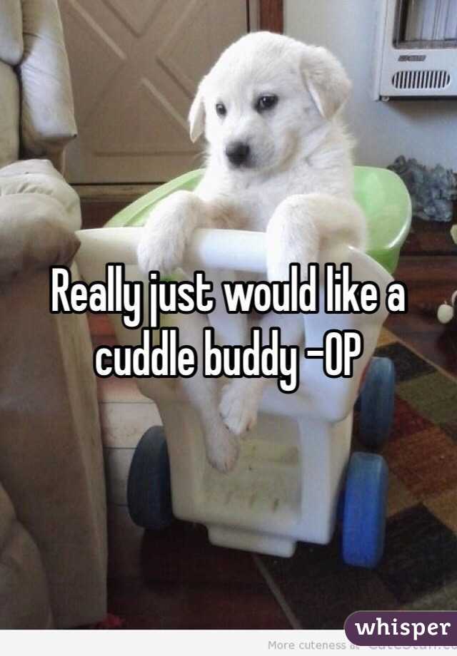 Really just would like a cuddle buddy -OP