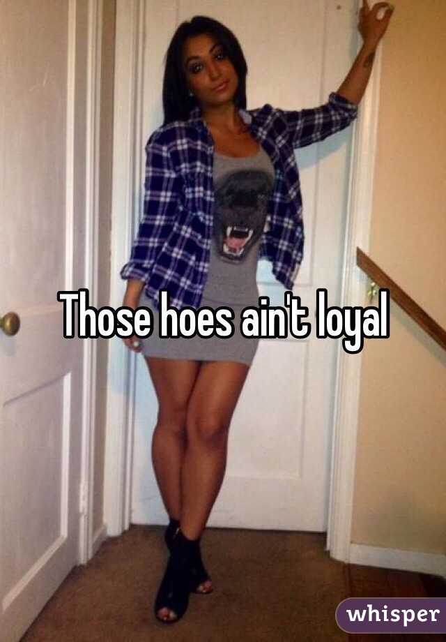 Those hoes ain't loyal 