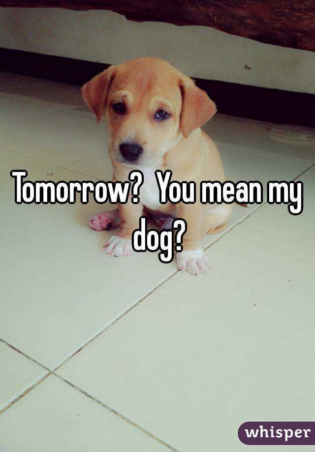 Tomorrow?  You mean my dog?