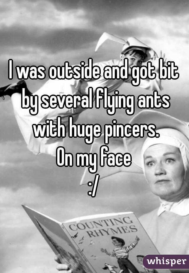 I was outside and got bit by several flying ants with huge pincers.
On my face
:/