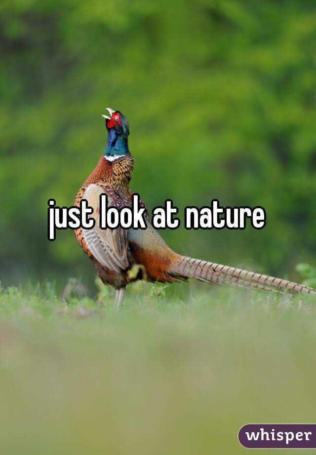 just look at nature