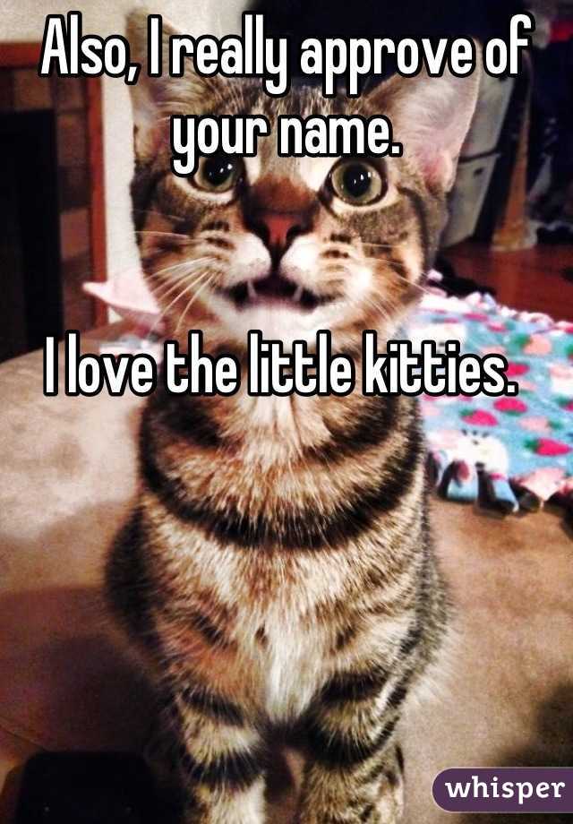 Also, I really approve of your name. 


I love the little kitties. 