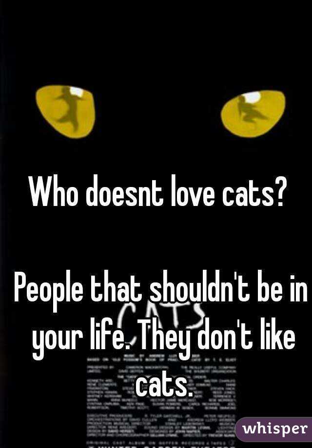 Who doesnt love cats? 

People that shouldn't be in your life. They don't like cats.
