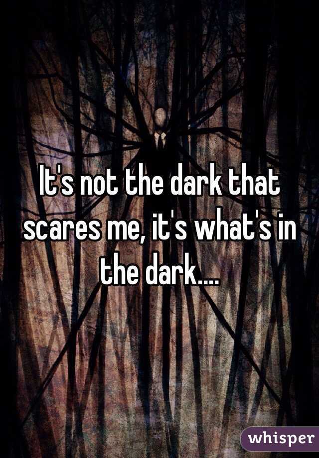 It's not the dark that scares me, it's what's in the dark....