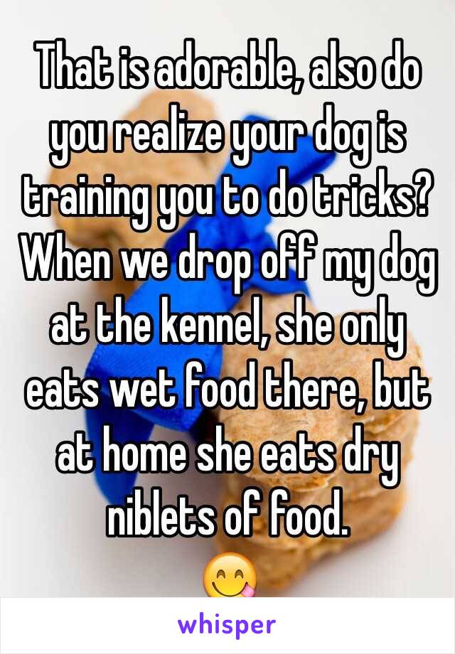 That is adorable, also do you realize your dog is training you to do tricks?
When we drop off my dog at the kennel, she only eats wet food there, but at home she eats dry niblets of food.
😋