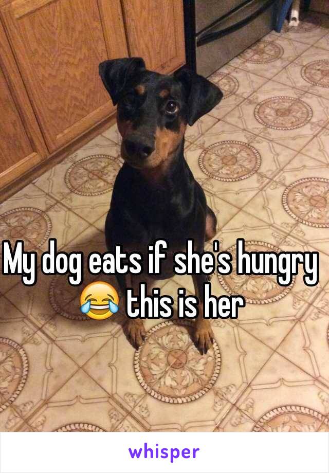 My dog eats if she's hungry 😂 this is her