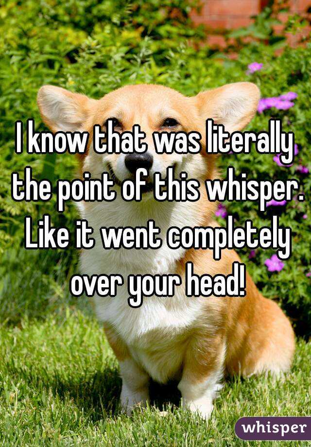 I know that was literally the point of this whisper. Like it went completely over your head!