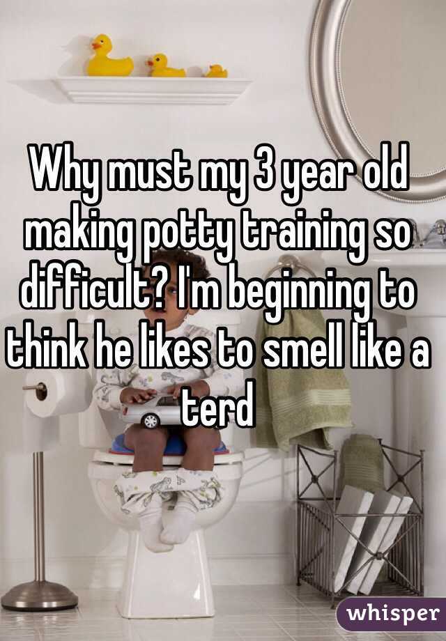 Why must my 3 year old making potty training so difficult? I'm beginning to think he likes to smell like a terd