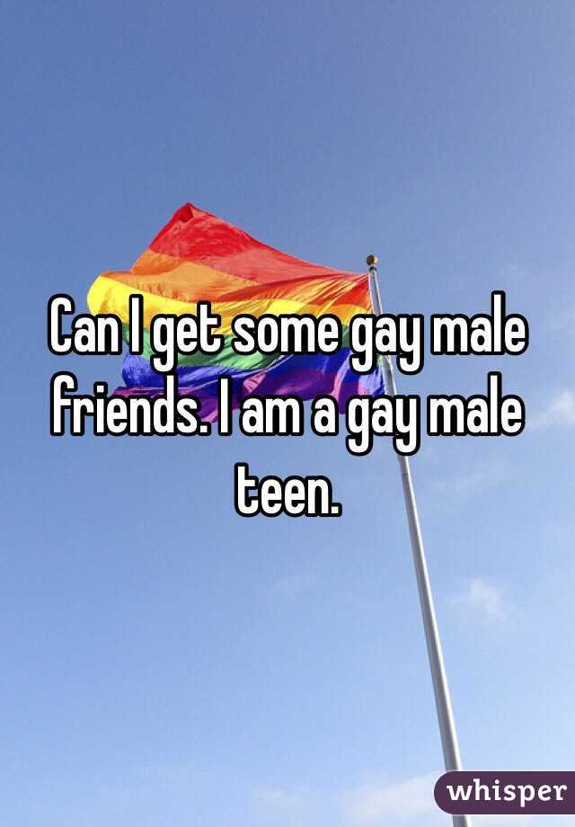 Can I get some gay male friends. I am a gay male teen. 
