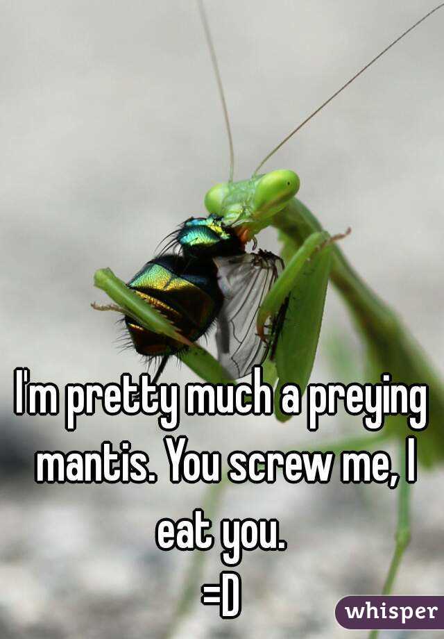 I'm pretty much a preying mantis. You screw me, I eat you. 
=D