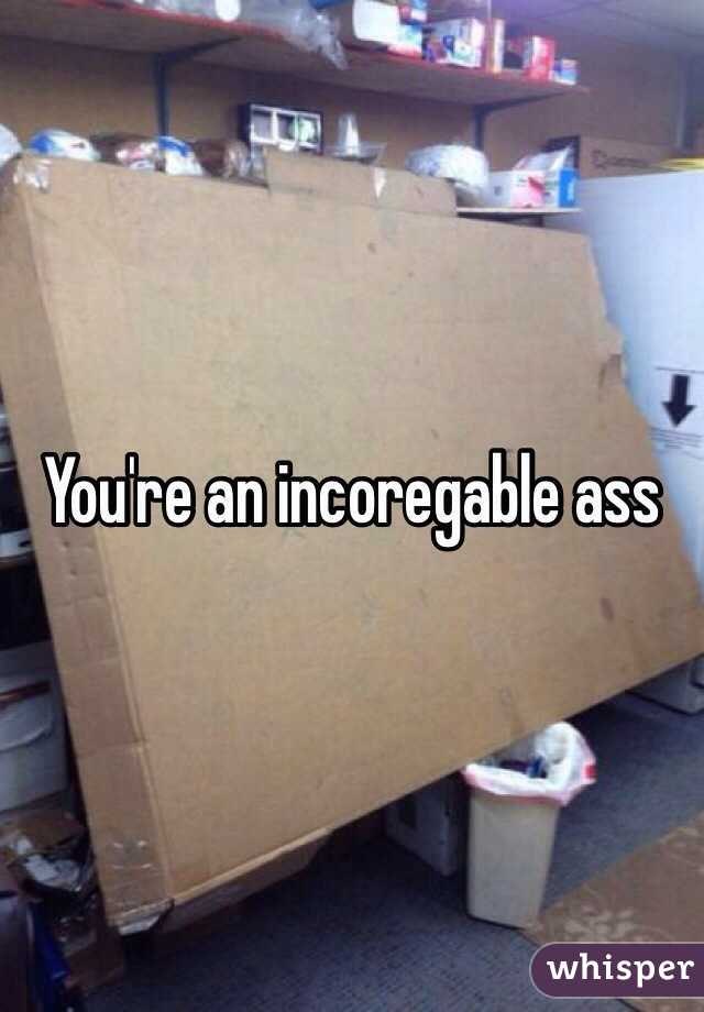 You're an incoregable ass