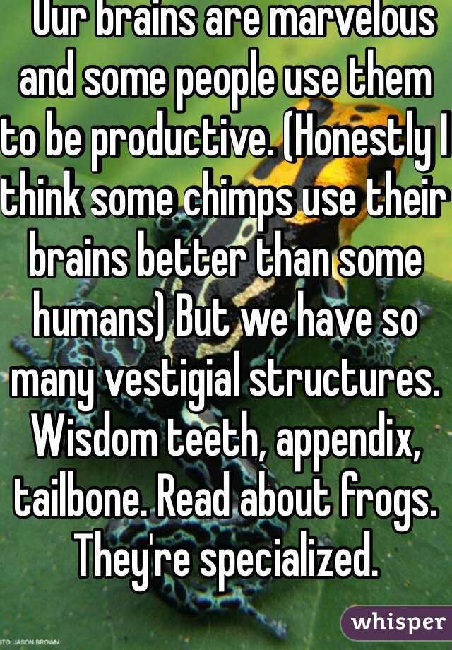   Our brains are marvelous and some people use them to be productive. (Honestly I think some chimps use their brains better than some humans) But we have so many vestigial structures. Wisdom teeth, appendix, tailbone. Read about frogs. They're specialized. 