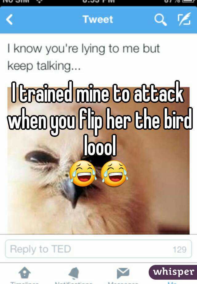 I trained mine to attack when you flip her the bird loool
😂😂