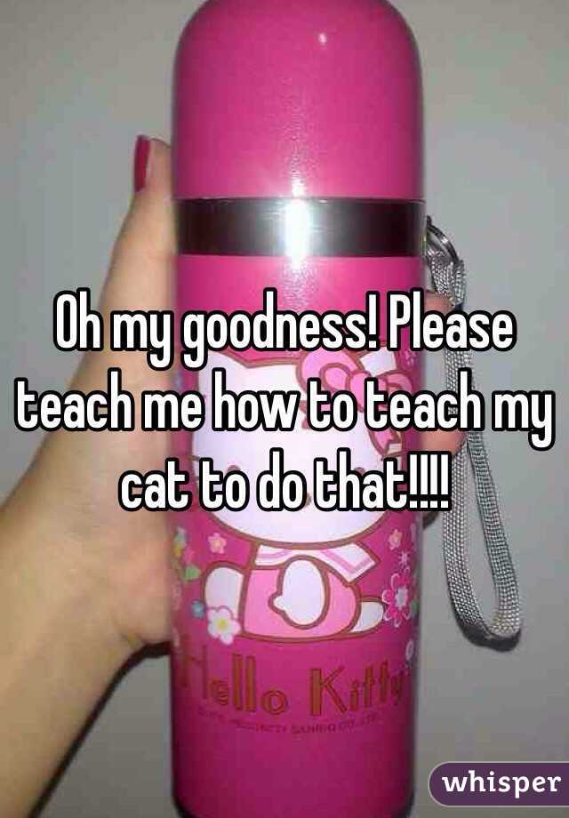 Oh my goodness! Please teach me how to teach my cat to do that!!!!