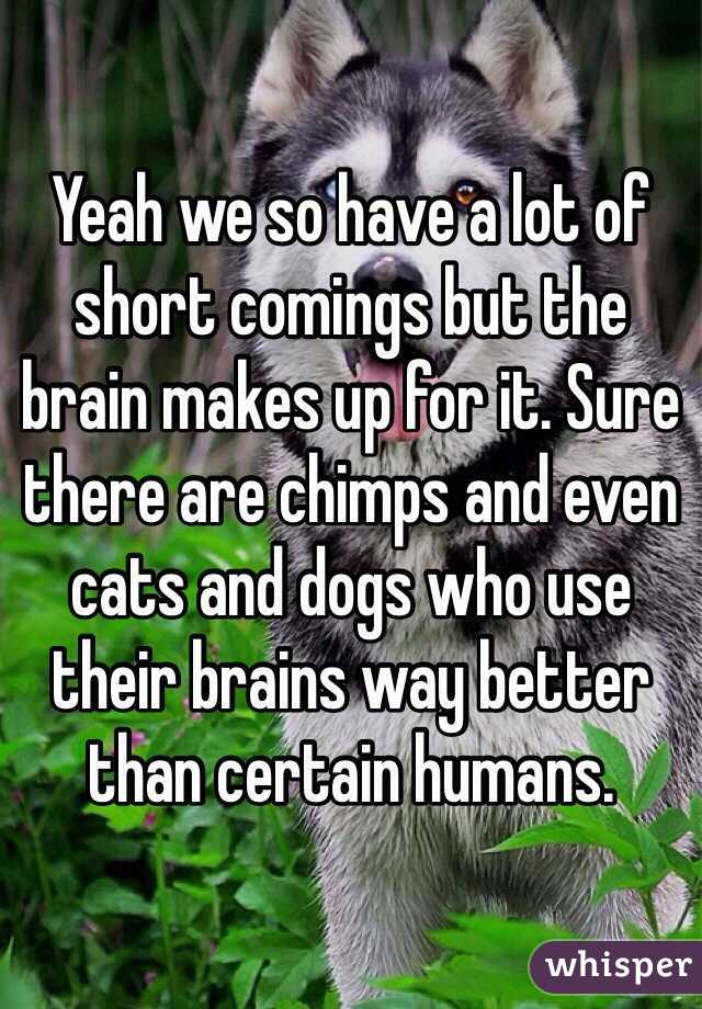 Yeah we so have a lot of short comings but the brain makes up for it. Sure there are chimps and even cats and dogs who use their brains way better than certain humans. 