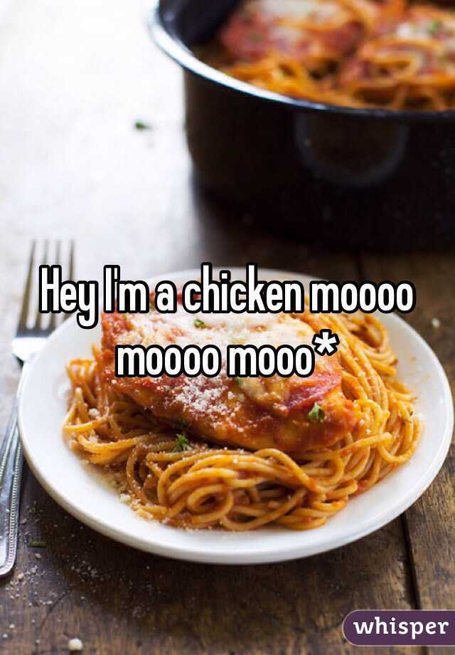 Hey I'm a chicken moooo moooo mooo*