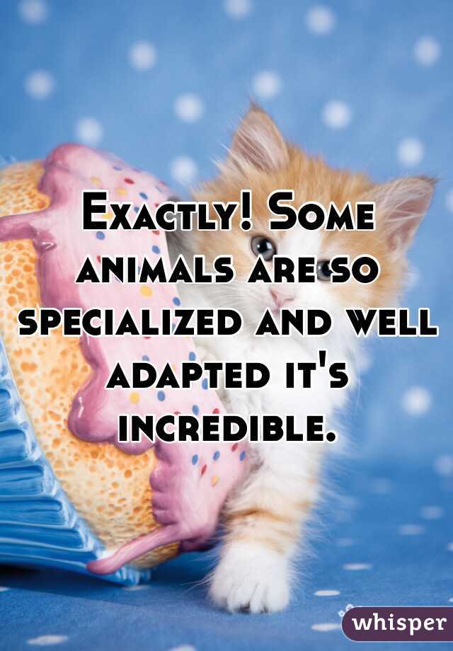 Exactly! Some animals are so specialized and well adapted it's incredible. 