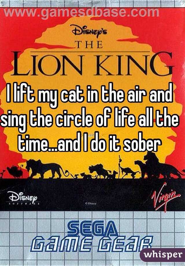I lift my cat in the air and sing the circle of life all the time...and I do it sober