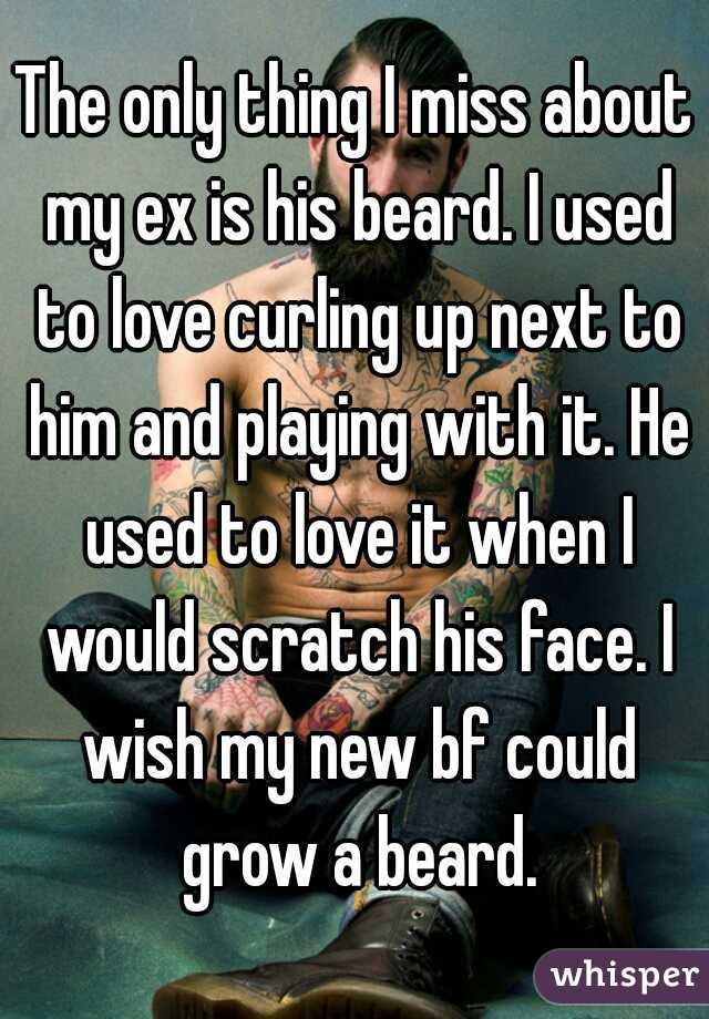The only thing I miss about my ex is his beard. I used to love curling up next to him and playing with it. He used to love it when I would scratch his face. I wish my new bf could grow a beard.