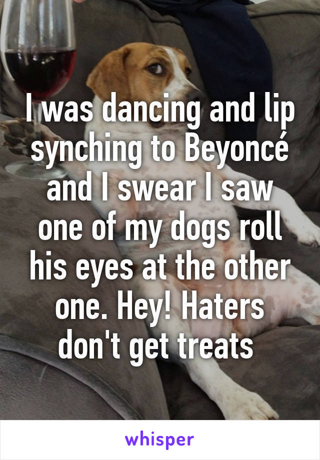 I was dancing and lip synching to Beyoncé and I swear I saw one of my dogs roll his eyes at the other one. Hey! Haters don't get treats 