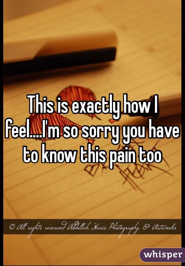 This is exactly how I feel....I'm so sorry you have to know this pain too