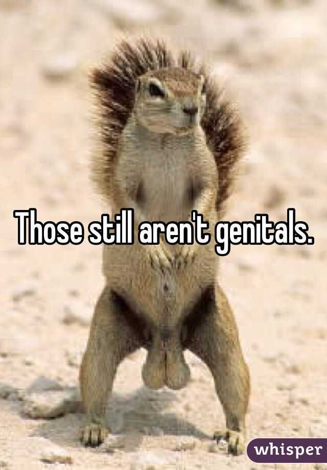 Those still aren't genitals. 